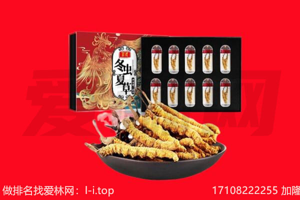 江夏区回收虫草.jpg
